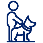 Human walking dog icon