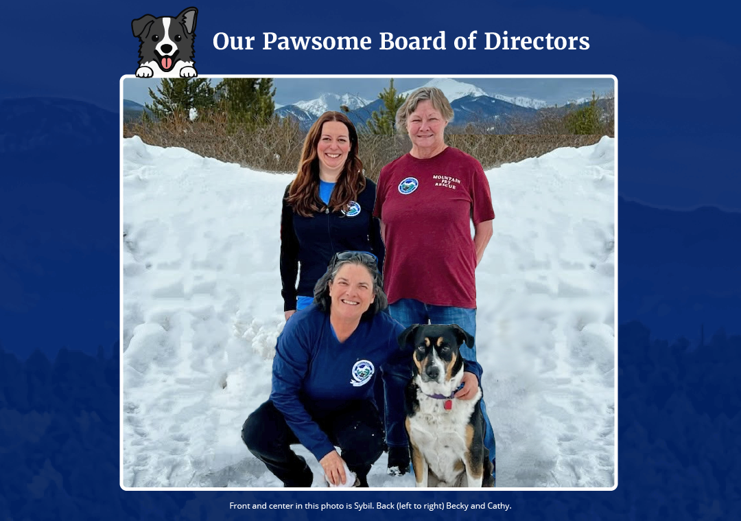 img_1080x609_meet-the-board