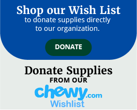 img_282x227_chewy-wishlist