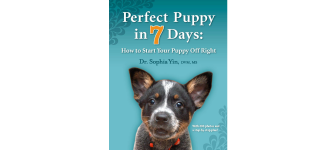 img_336x150_dr-sophia