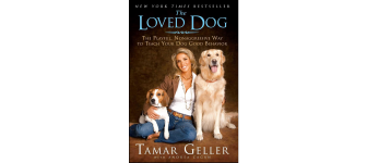 img_336x150_tamar-gellar