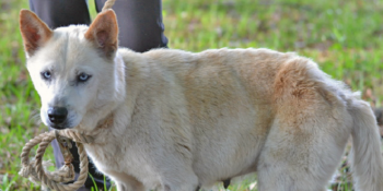 Bailey’s Success Story