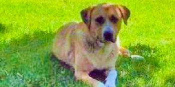 Chance’s Success Story