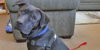 Jinks’ Success Story