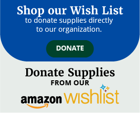 shop-our-amazon-wishlist-01